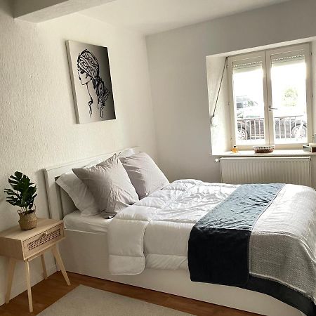 Appartement La Petite Venise Колмар Екстериор снимка