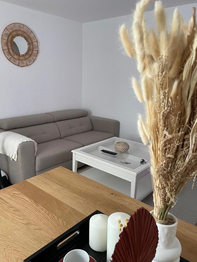 Appartement La Petite Venise Колмар Екстериор снимка