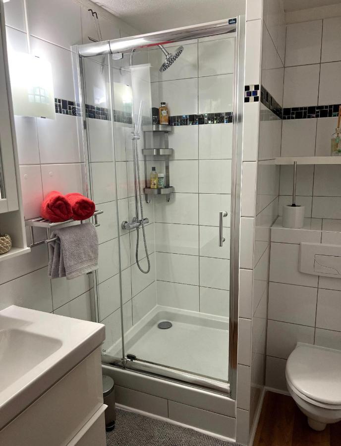 Appartement La Petite Venise Колмар Екстериор снимка