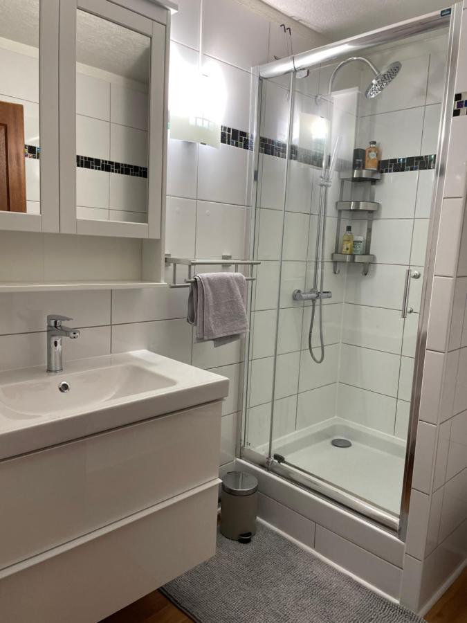 Appartement La Petite Venise Колмар Екстериор снимка